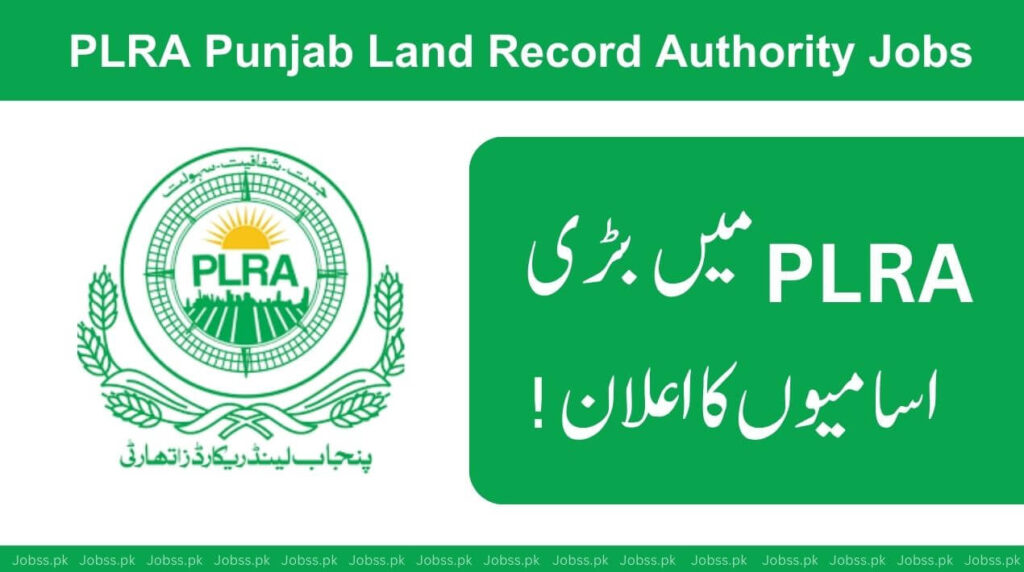 Finance Associate Punjab Land Records Authority, PAKISTAN